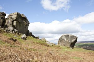 cow and calf 1113 sm - Copy.jpg